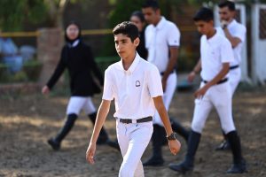 جام اسب ترکمن و اسب خالص