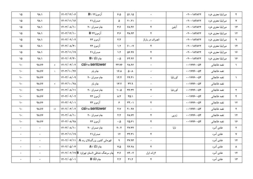 بزرگسالان