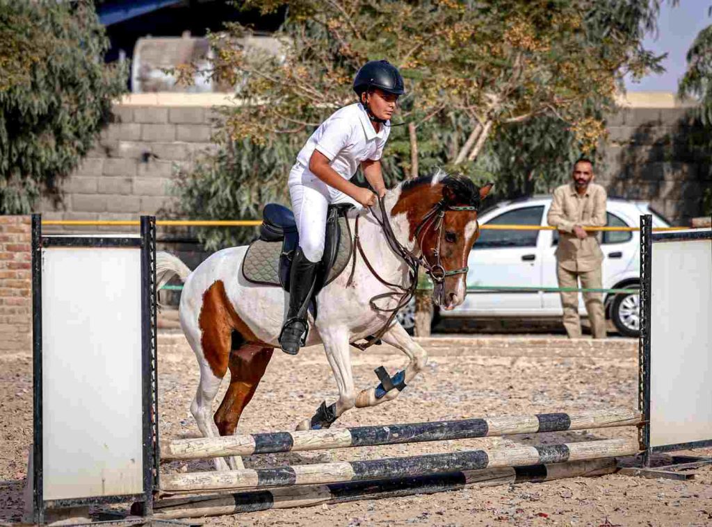 بیست و یکمین