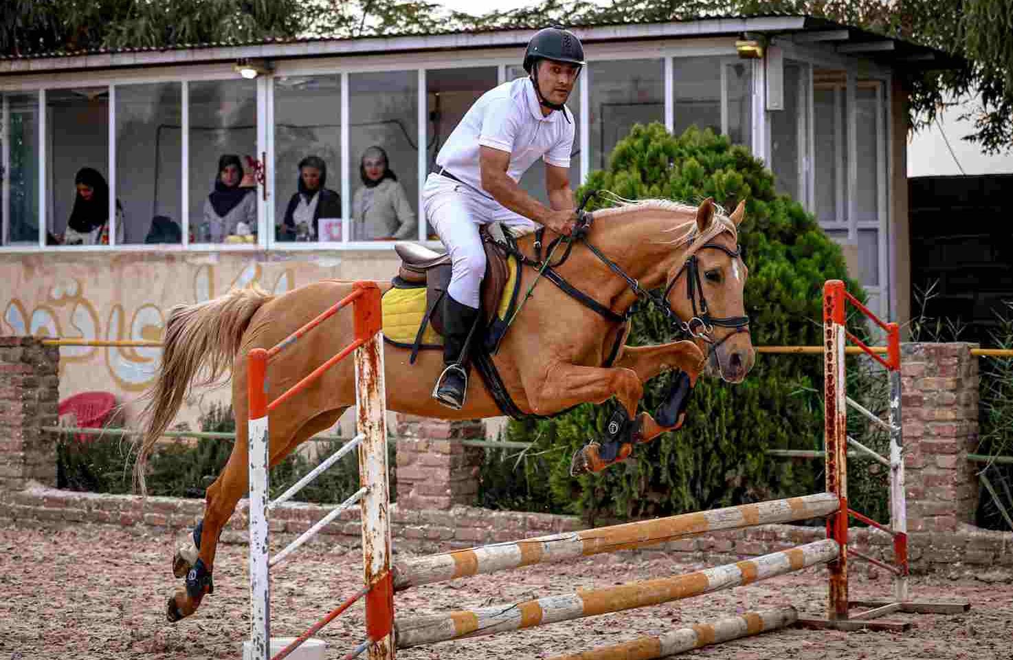 بیست و یکمین