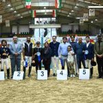 بیست و سومین