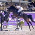 بیست و ششمین رویداد