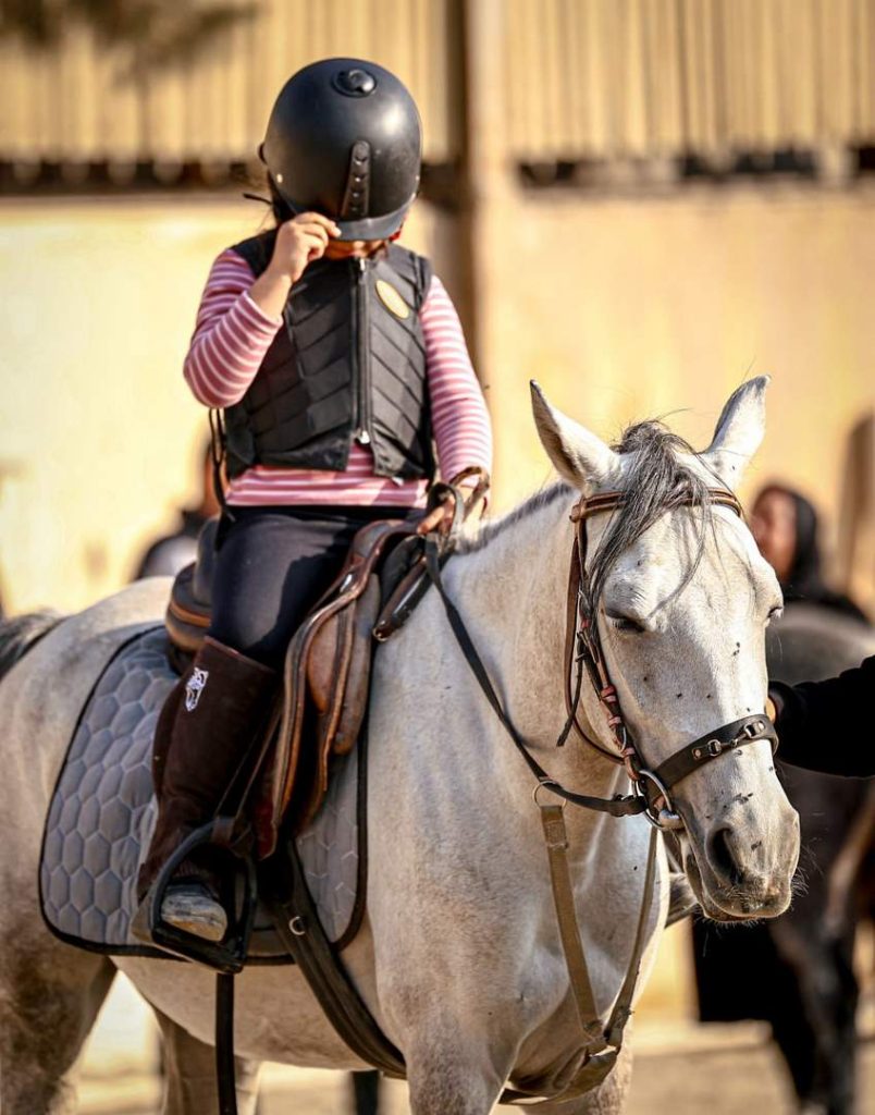 اولین رويداد پاراسوارکاری و اکوئی‌فان