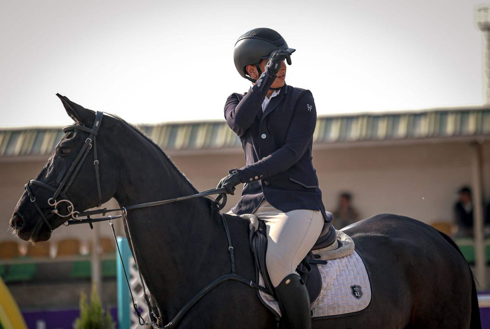 بیست و هفتمین